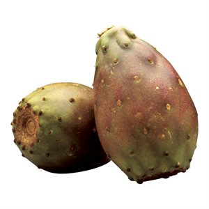 Poire cactus (gr:24) 1un