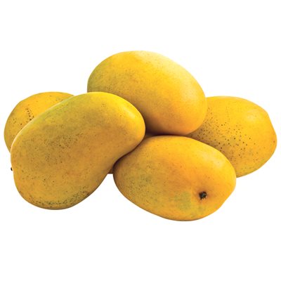 Mangue «Ataulfo» 1un