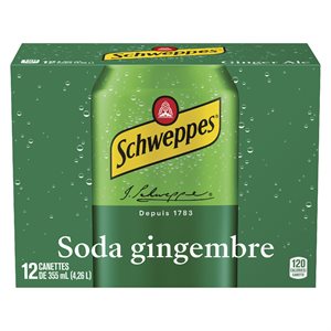 Boisson gazeuse soda gingembre can 12x355ml