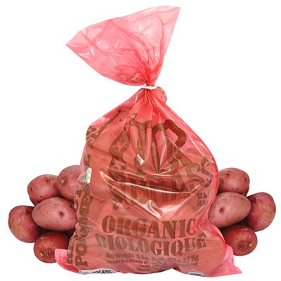 Patate rouge bio 5lbs