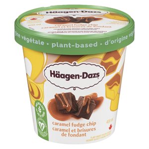 Créme glacé éclat fudge caramel 400ml
