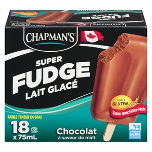 Fudge lait glacé chocolat 18x75ml