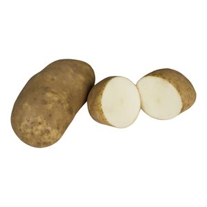 Patate Russet (vrac)