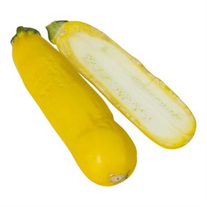 Courge Zucchini jaune