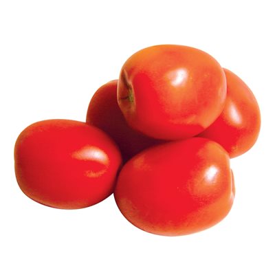 Tomate italienne