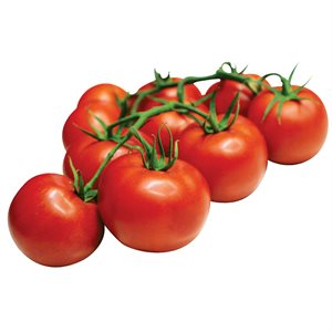 Tomate grappe rouge