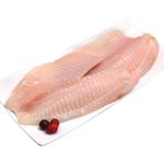 Filet de Tilapia frais 7-9