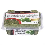 Coriandre feuilles cilantro 6gr