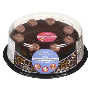 Gâteau passion chocolat surgelé 600gr